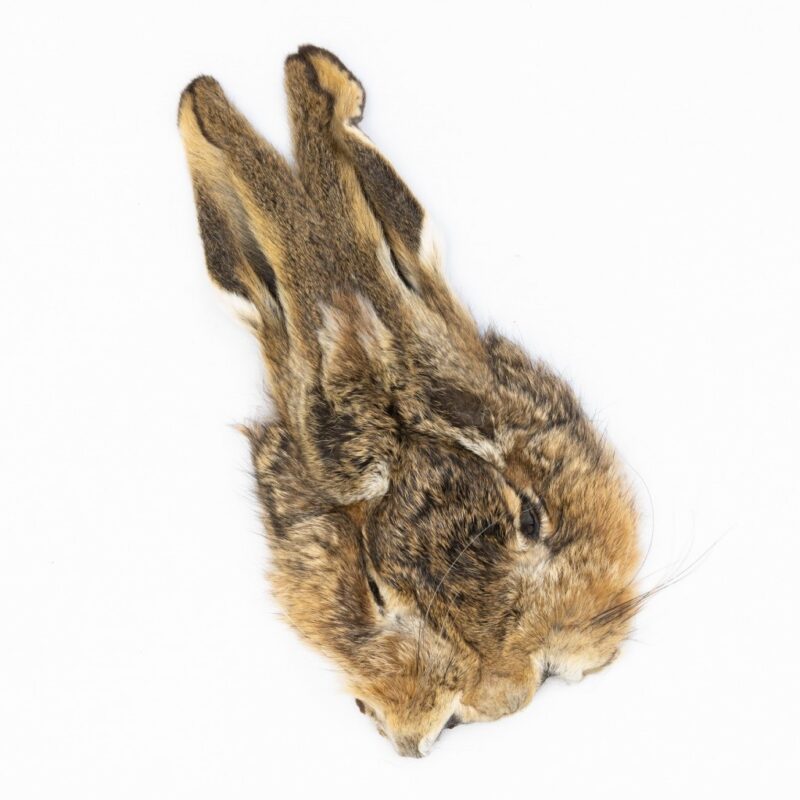 Veniard Hare mask Natural