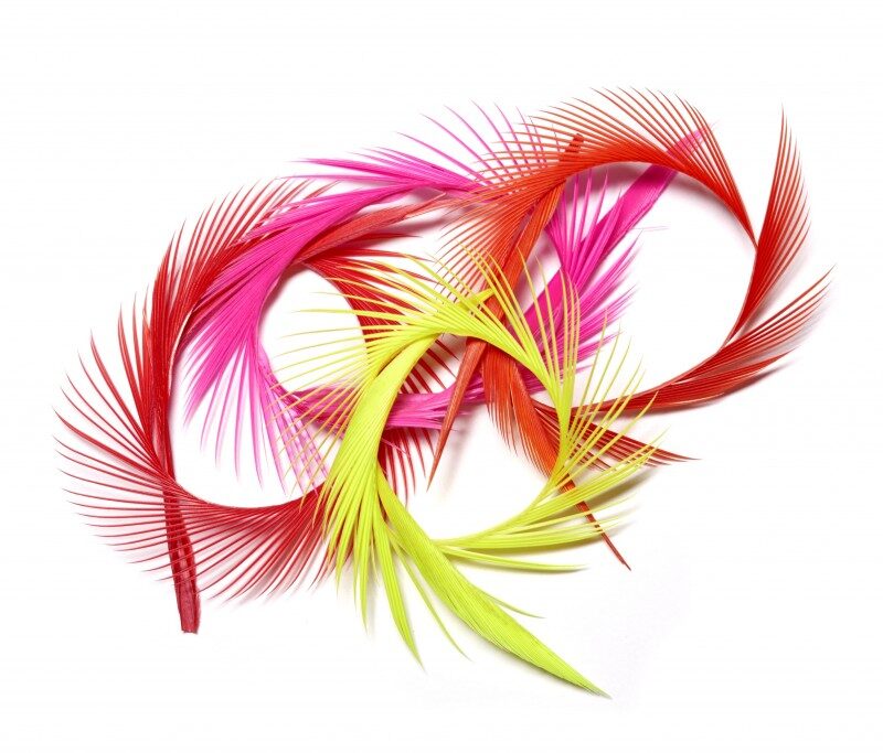 Veniard Goose Biot Strips Black