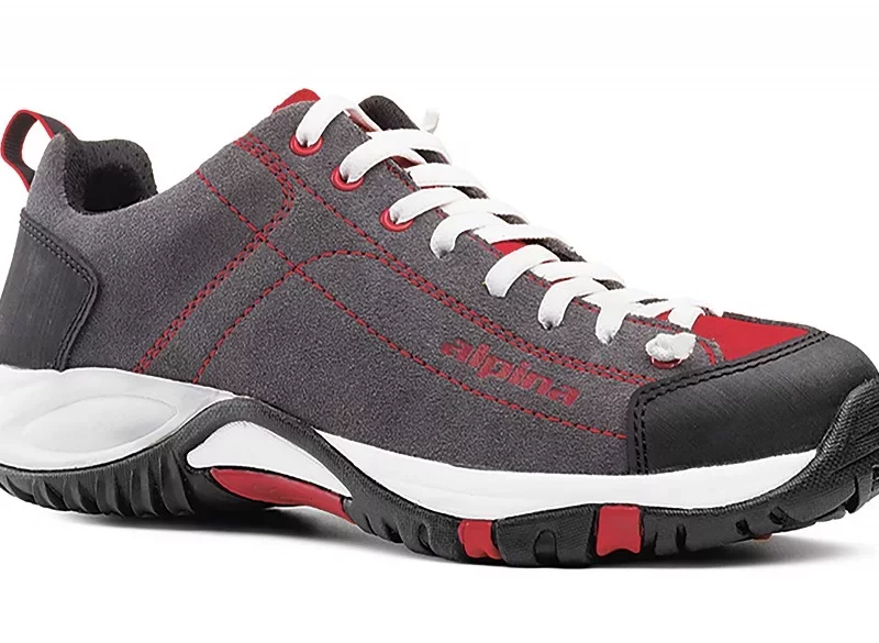 alpina Diamond 2,0 Gray/Red